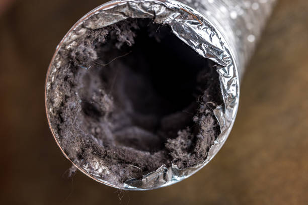 Best Ventilation Cleaning Services  in South Plainfield, NJ